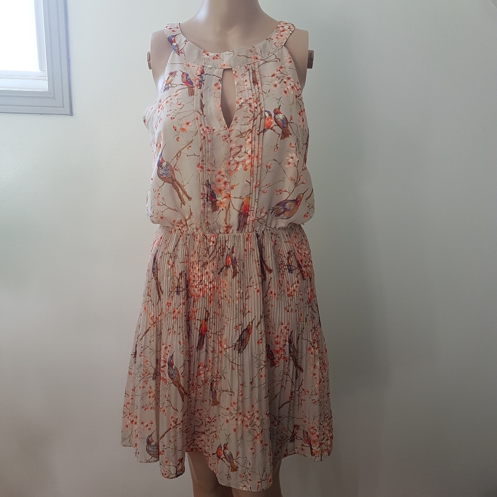 Pink Martini Bird Floral Print Chiffon Cream/Ivory Lined Mini Dress Sz S